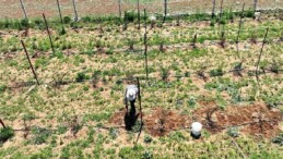 Büyükşehir’in güç takviyesi ile Antalya tarımı kazanıyor
