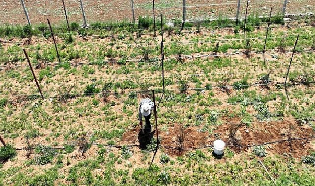 Büyükşehir’in güç takviyesi ile Antalya tarımı kazanıyor