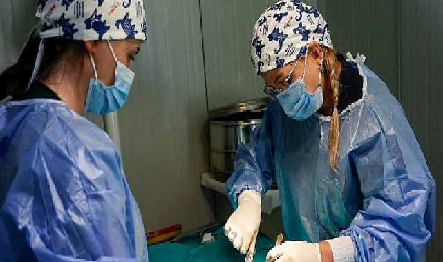 Büyükşehir’in sahipsiz sokak kedilerine özel taşınabilir kısırlaştırma hizmeti sürüyor