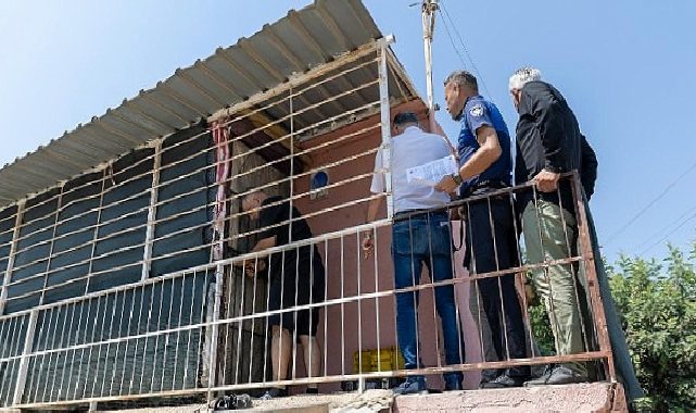 Çöp ararken bakın ne buldular?