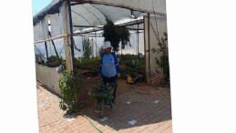 Didim Belediyesi’nden Topraktan Kente Uzanan Üretim