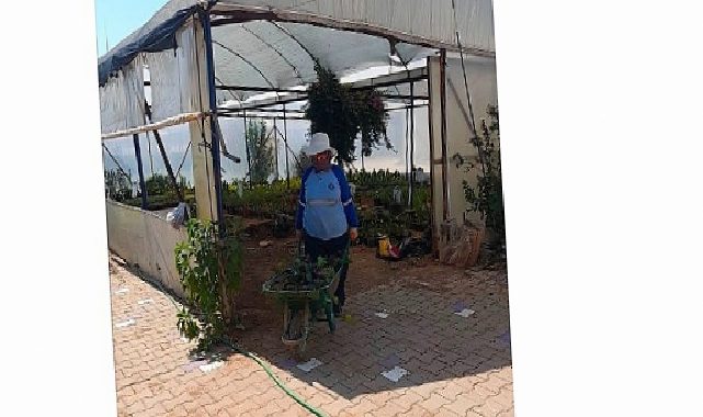 Didim Belediyesi’nden Topraktan Kente Uzanan Üretim