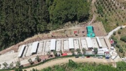 Gemlik’te Barınak Ziyaretçilere Daima Açık