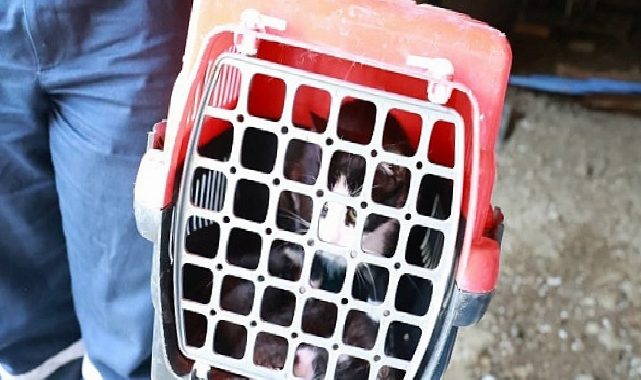 Kaçak Bina Yıkımında Hayat Kurtaran Müdahale