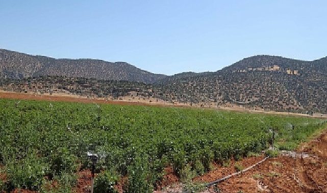 Korkuteli’nin alt yapı kapasitesi güçlendirildi