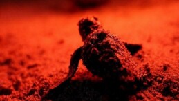Lider Hatice Gençay: “Didim’in Minik Konut Sahiplerine Sahip Çıkmaya Devam Edeceğiz”