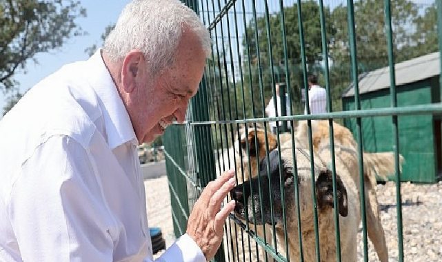 Lider Şadi Özdemir’den “Umut Ağacı”na inceleme ziyareti