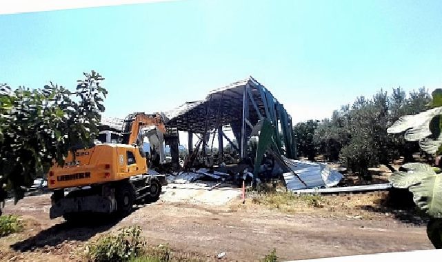 Osmangazi’de Zeytinliğe Yapılan Kaçak Depoya Müsaade Yok