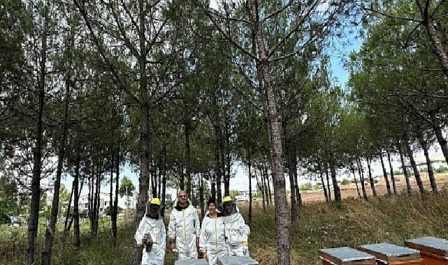 Şuurlu üretim, Kocaeli’nin balını Türkiye’ye taşıyor