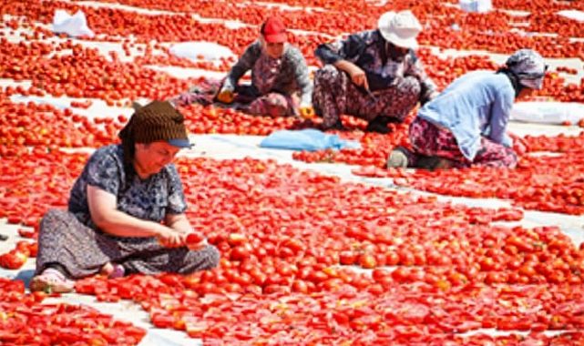 Torbalı’nın kuru domates işçileri yalnız bırakılmadı