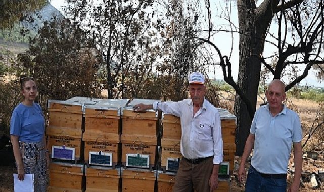 Yangında Kovanları Ziyan Gören Arıcıya Büyükşehir’den Dayanak