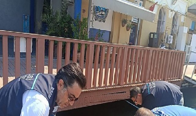 Yasa Dışı Kara Midye Avcılığına Geçit Yok