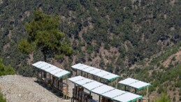 Yenişehir’de 3 Bin 600 dekarlık arı cenneti