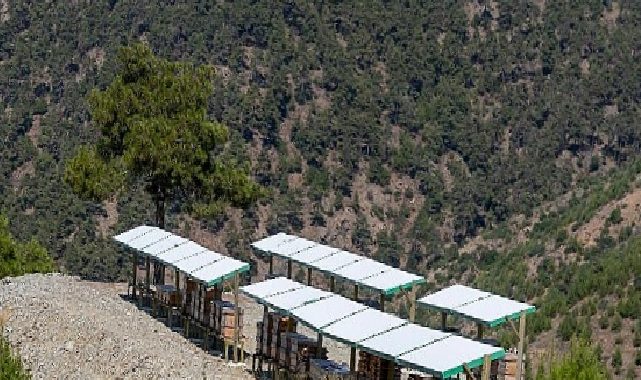 Yenişehir’de 3 Bin 600 dekarlık arı cenneti