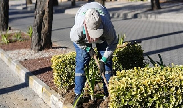 Burhaniye’de Park ve Yeşil Alanlarda Bakım Çalışmaları Sürüyor