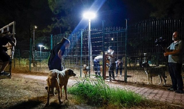 Büyükşehir takımları can dostlar için seferber oldu