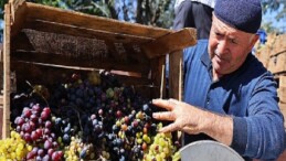 Büyükşehir’den üzüm üreticilerine makine dayanağı