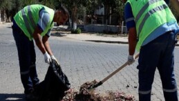 Didim Belediyesi’nden Mazgal Paklığı