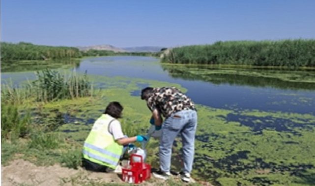 Gediz’de 7. Devir Raporu: Yaz aylarında kirlilik yükselişe geçti