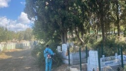 İzmit’te mezarlıklar Büyükşehir eliyle güzelleşiyor
