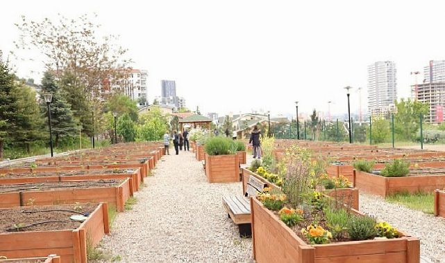 Kent Bostanlarında Yeni Eğitim Dönemi Başlıyor