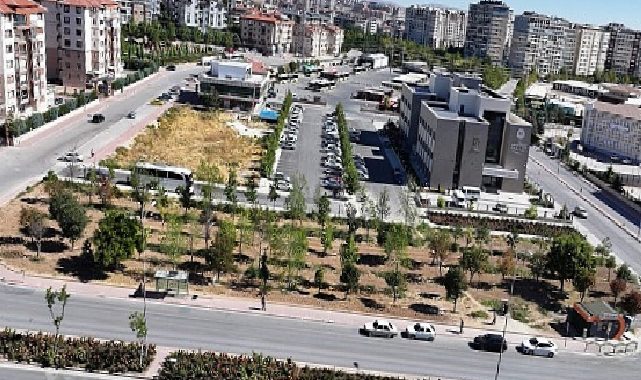 Konya Büyükşehir, Raylı Sistem Çalışmaları Esnasında Kaldırdığı Her Ağacı Tekrar Toprakla Buluşturuyor