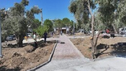 Lider Hatice Gençay’ın Seçim Vaatleri Arasında Yer Alan Zeytin Park, Didim’in Yeni Hayat Alanlarından Biri Olmaya Hazırlanıyor