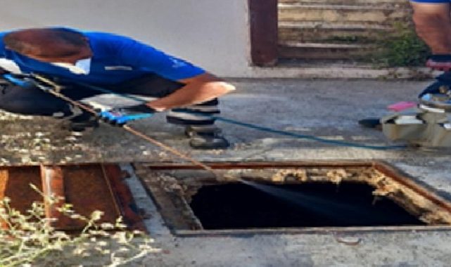 Sivrisinekle gayret dört mevsim sürüyor