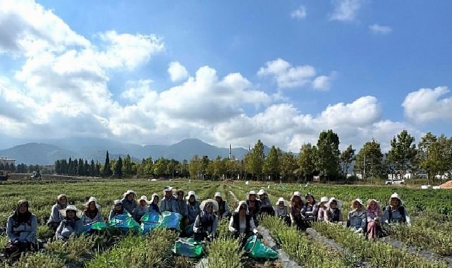 TABİP’te üretimden markalaşmaya uzanan hasat