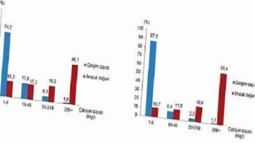 Teşebbüs Özelliklerine Nazaran Dış Ticaret İstatistikleri, 2025