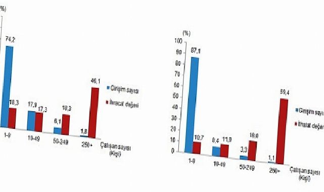 Teşebbüs Özelliklerine Nazaran Dış Ticaret İstatistikleri, 2025