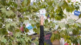 Yalnızca bu kentin ağaçları kitap açar