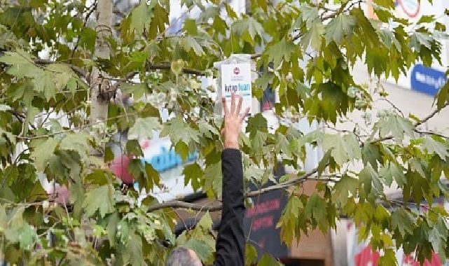 Yalnızca bu kentin ağaçları kitap açar