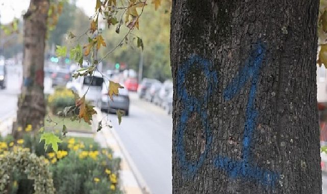 Eyüpsultan-Bayrampaşa Tramvayı’nda Çalışmalar Hızlandı