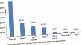 Hanehalkı Son Güç Tüketim İstatistikleri, 2025