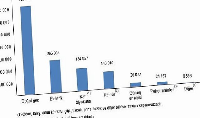 Hanehalkı Son Güç Tüketim İstatistikleri, 2025