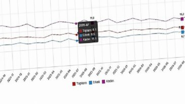 İşgücü İstatistikleri, Eylül 2026