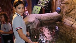 İzmirli çocuklar su altı dünyasını keşfetti