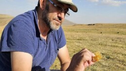 Kafkas Arısı için alarm zilleri çalıyor