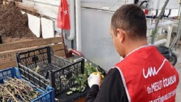 Keçiören Belediyesi Serasında Özel Bireyler İçin “Dijital Detoks” Aktifliği