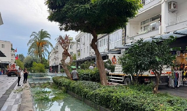 Kemer Liman Caddesi’nde kış öncesi bakım çalışması