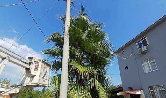 Kemer’de budama çalışmaları