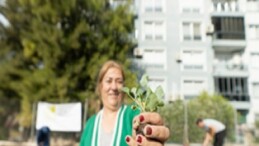 Mahalle Bostanlarında kışlık sebzeler toprakla buluşuyor