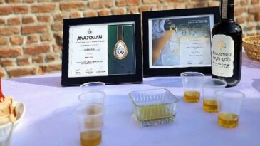 Ödüllü zeytinyağı ve Çepni İmece Fabrikası tanıtıldı