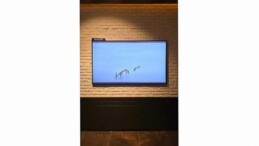 Samsung, Artweeks Istanbul’da sanatı ekran teknolojileriyle buluşturuyor