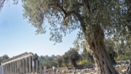 Teos’un taşları 2 bin 200 yıllık tarihi gün yüzüne çıkarıyor