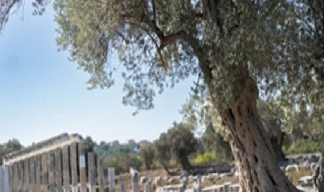 Teos’un taşları 2 bin 200 yıllık tarihi gün yüzüne çıkarıyor