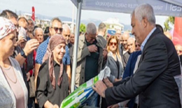 Zeytinde ortak akıl alana taşınıyor